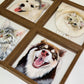 Custom Pet Portrait Glass Painting