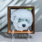 Custom Pet Multi-layer Glass Painting
